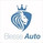 Logo Biesse Auto Srl
